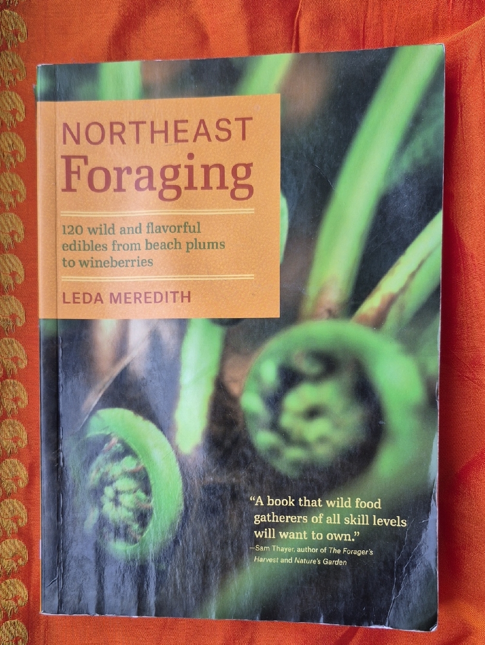 Northeast Foraging by Leda Meredith - Green & Orange Cover